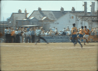 1603771605505033.gif 7.gif