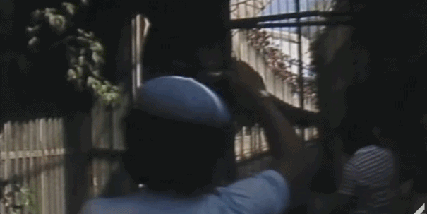 1606360534551030.gif