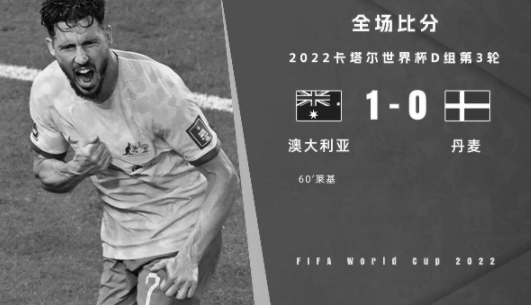 世界杯-澳大利亚1-0丹麦小组第二出线 莱基反击打进制胜球