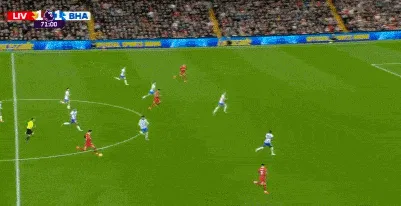 1730571276940013.gif 4.gif