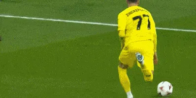 1732845174651046.gif 4.gif