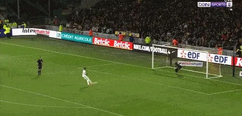 1734916364482504.gif 11.gif