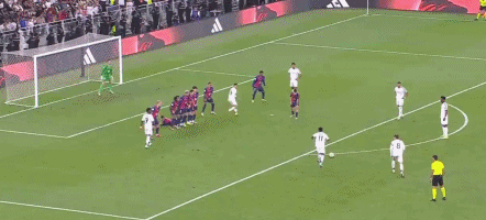 1736733630287278.gif 8.gif