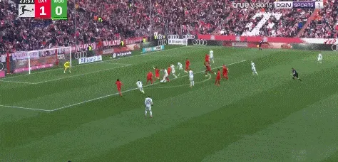 1737217975463008.gif 3.gif