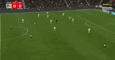 1739647695480029.gif 2.gif